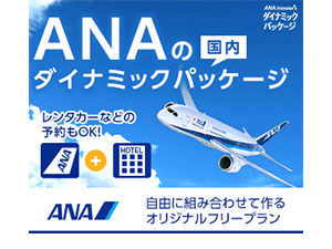 ANA_Ci~bNpbP[W
