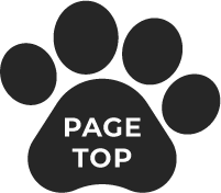 �y�[�W�g�b�v�֖߂�