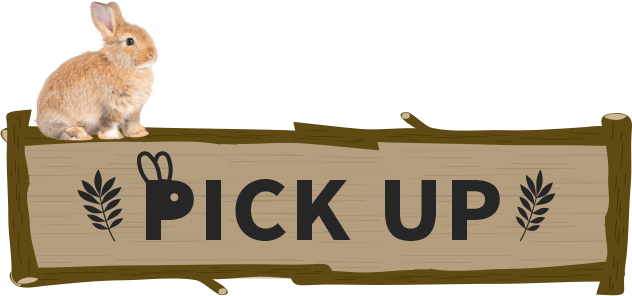PICK UP