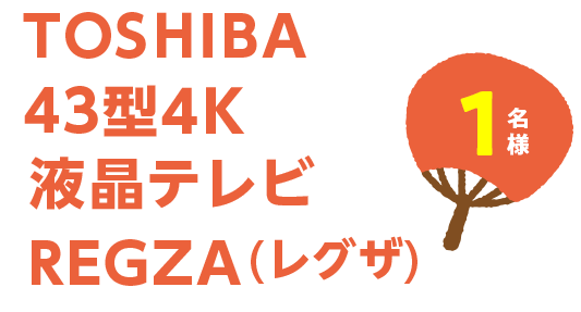 TOSHIBA 43^4K ter REGZA(OU)